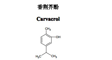 香荆芥酚中药化学对照品分子结构图