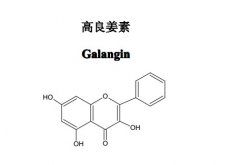 高良姜素对照品