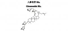 人参皂苷Rb2对照品