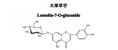 木犀草苷