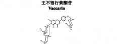 王不留行黄酮苷