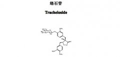 络石苷对照品