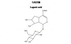 马钱苷酸对照品