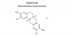 盐酸黄柏碱对照品