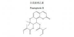 白花前胡乙素对照品