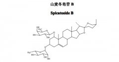 山麦冬皂苷B