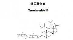 通关藤苷H对照品