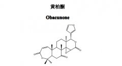 黄柏酮