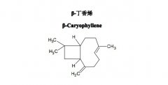 β-丁香烯对照品