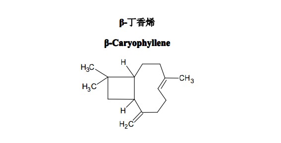 β-丁香烯中药化学对照品