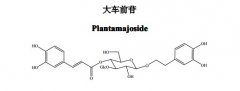 大车前苷