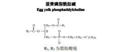 蛋黄磷脂酰胆碱