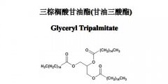 三棕榈酸甘油酯（甘油三酸酯）