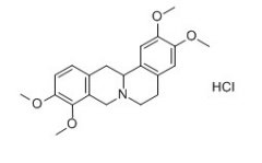 延胡索乙素