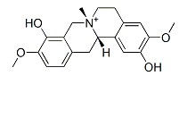 轮环藤碱对照品