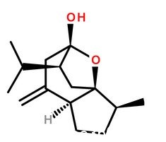 莪术醇分子结构图