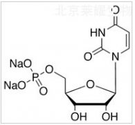 Uridine 5’-Monophosphate Disodium Salt