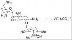 Gentamicin C1a Pentaacetate Salt