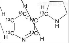 (RS)-降烟碱-13C6标准品