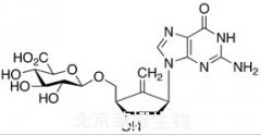 Entecavir 3’’-O-β-D-Glucuronide