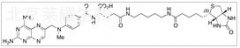 Methotrexate-Cadaverine-Biotin Conjugate