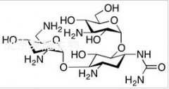 1-N-Ureido Tobramycin