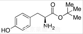 L-Tyrosine tert-Butyl Ester