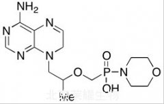 [2-(6-Amino-9H-purin-9-yl)-1-methylethoxy]methyl]-4-morpholinylphosphinic Acid