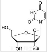 1-β-D-Arabinofuranosyluracil-2-C-methyl