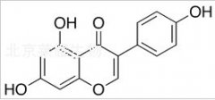 金雀异黄酮标准品