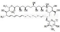 两性霉素B-13C6标准品