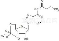 Bucladesine Impurity 2标准品