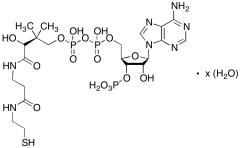 Coenzyme A, Free Acid, Hydrate (CoA)