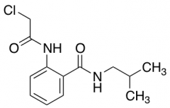 2-(2-Chloroacetamido)-N-(2-methylpropyl)benzamide