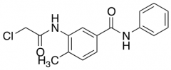 3-(2-Chloroacetamido)-4-methyl-N-phenylbenzamide