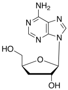 Cordycepin