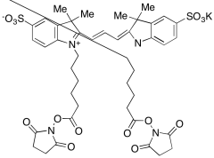 Cyanine 3 Bihexanoic Acid Dye, Succinimidyl Ester, Potassium Salt