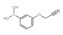 3-Cyanomethoxyphenylboronic acid