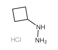 1-Cyclobutylhydrazine Hydrochloride