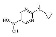2-(Cyclopropylamino)pyrimidine-5-boronic Acid