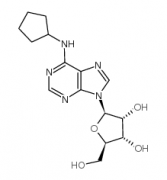 N6-Cyclopentyladenosine