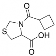 3-Cyclobutanecarbonyl-1,3-thiazolidine-4-carboxylic Acid