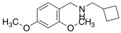 (Cyclobutylmethyl)[(2,4-dimethoxyphenyl)methyl]amine