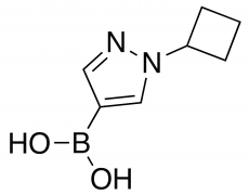 (1-Cyclobutylpyrazol-4-yl)boronic acid