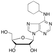 N6-Cyclohexyladenosine