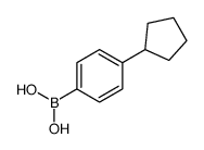 4-Cyclopentylphenylboronic acid