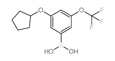 3-(Cyclopentyloxy)-5-(trifluoromethoxy)phenylboronic acid
