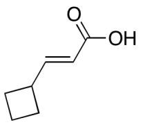 (2E)-3-Cyclobutyl-2-propenoic Acid