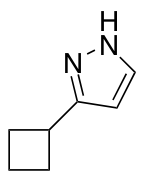 5-cyclobutyl-1H-pyrazole