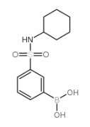 N-Cyclohexyl 3-Boronobenzenesulfonamide